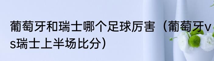 葡萄牙和瑞士哪个足球厉害（葡萄牙vs瑞士上半场比分）