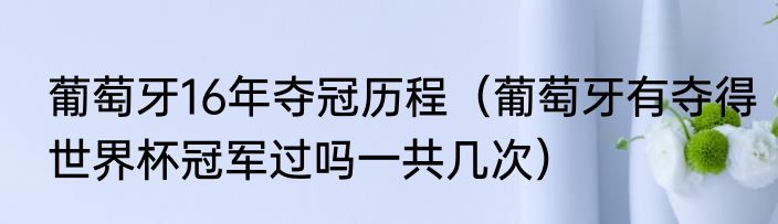 葡萄牙16年夺冠历程（葡萄牙有夺得世界杯冠军过吗一共几次）