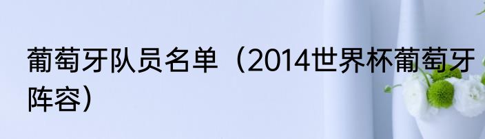 葡萄牙队员名单（2014世界杯葡萄牙阵容）