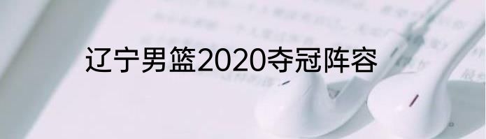 辽宁男篮2020夺冠阵容