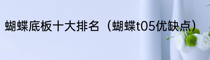 蝴蝶底板十大排名（蝴蝶t05优缺点）