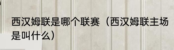 西汉姆联是哪个联赛（西汉姆联主场是叫什么）