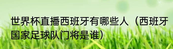 世界杯直播西班牙有哪些人（西班牙国家足球队门将是谁）