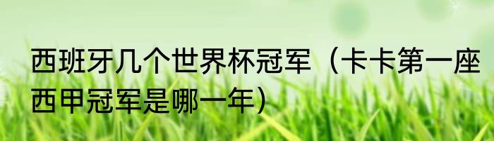 西班牙几个世界杯冠军（卡卡第一座西甲冠军是哪一年）