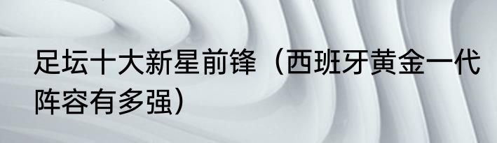 足坛十大新星前锋（西班牙黄金一代阵容有多强）