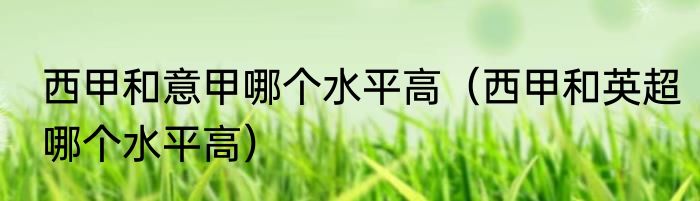 西甲和意甲哪个水平高（西甲和英超哪个水平高）