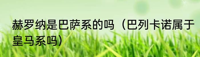 赫罗纳是巴萨系的吗（巴列卡诺属于皇马系吗）