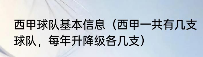 西甲球队基本信息（西甲一共有几支球队，每年升降级各几支）