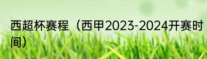 西超杯赛程（西甲2023-2024开赛时间）