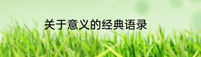 关于意义的经典语录