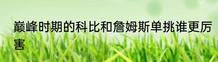 巅峰时期的科比和詹姆斯单挑谁更厉害