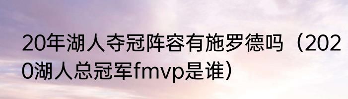 20年湖人夺冠阵容有施罗德吗（2020湖人总冠军fmvp是谁）