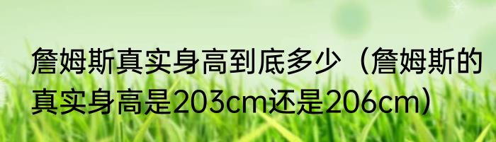 詹姆斯真实身高到底多少（詹姆斯的真实身高是203cm还是206cm）