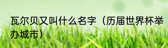 瓦尔贝又叫什么名字（历届世界杯举办城市）