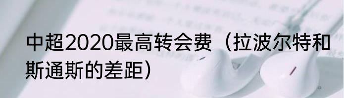 中超2020最高转会费（拉波尔特和斯通斯的差距）