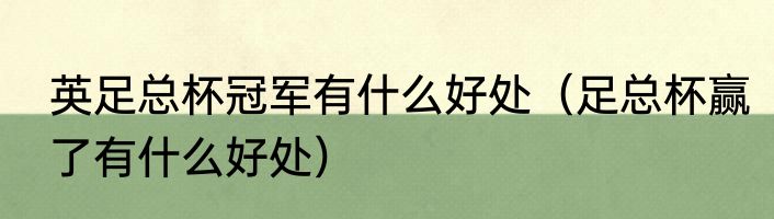 英足总杯冠军有什么好处（足总杯赢了有什么好处）