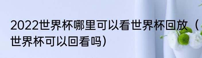 2022世界杯哪里可以看世界杯回放（世界杯可以回看吗）