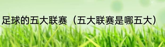 足球的五大联赛（五大联赛是哪五大）