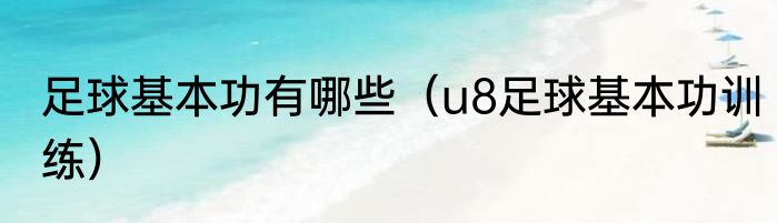 足球基本功有哪些（u8足球基本功训练）