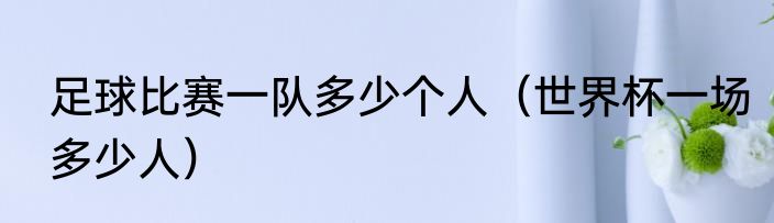 足球比赛一队多少个人（世界杯一场多少人）