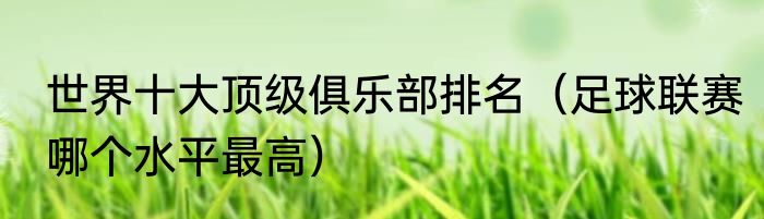 世界十大顶级俱乐部排名（足球联赛哪个水平最高）