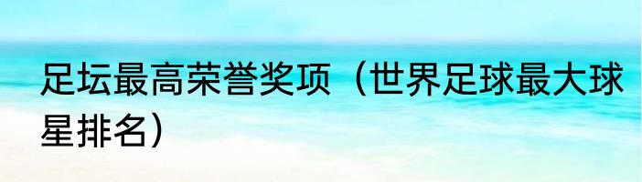 足坛最高荣誉奖项（世界足球最大球星排名）