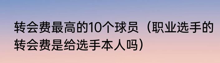 转会费最高的10个球员（职业选手的转会费是给选手本人吗）