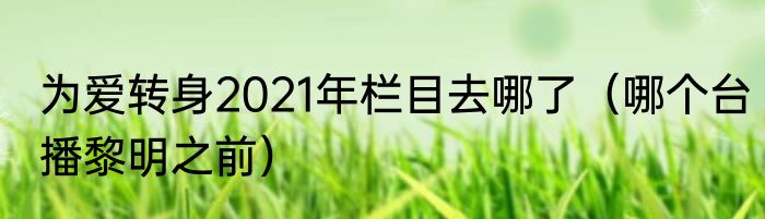 为爱转身2021年栏目去哪了（哪个台播黎明之前）