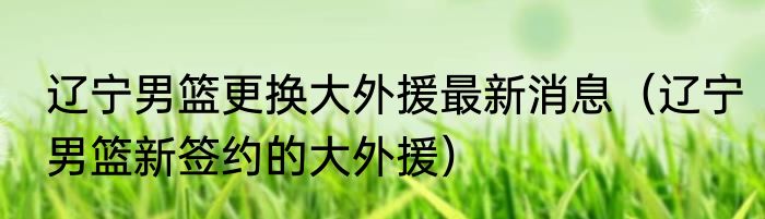 辽宁男篮更换大外援最新消息（辽宁男篮新签约的大外援）