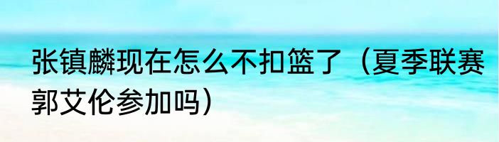 张镇麟现在怎么不扣篮了（夏季联赛郭艾伦参加吗）