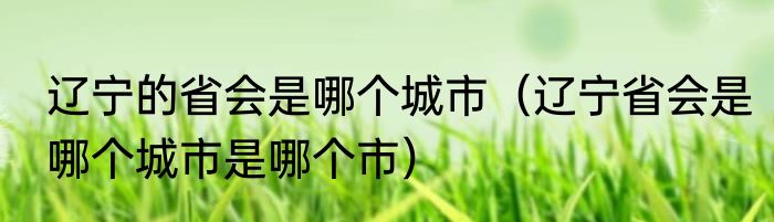 辽宁的省会是哪个城市（辽宁省会是哪个城市是哪个市）