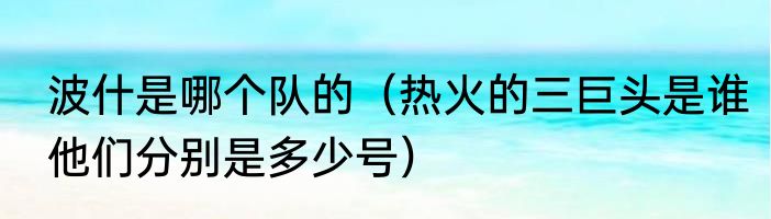 波什是哪个队的（热火的三巨头是谁他们分别是多少号）