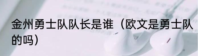 金州勇士队队长是谁（欧文是勇士队的吗）