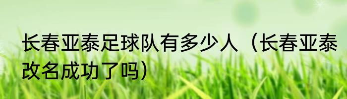 长春亚泰足球队有多少人（长春亚泰改名成功了吗）