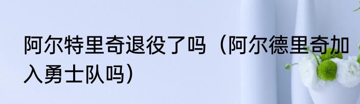 阿尔特里奇退役了吗（阿尔德里奇加入勇士队吗）