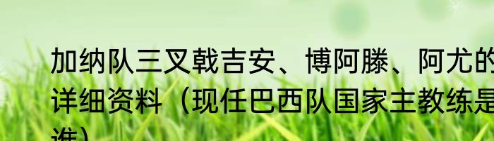 加纳队三叉戟吉安、博阿滕、阿尤的详细资料（现任巴西队国家主教练是谁）