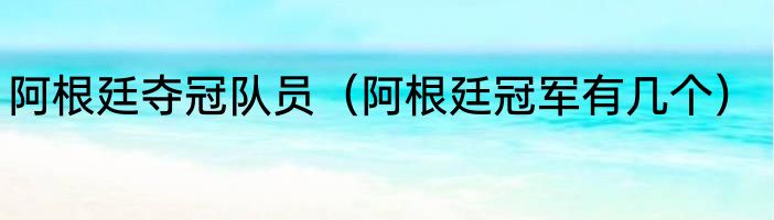 阿根廷夺冠队员（阿根廷冠军有几个）