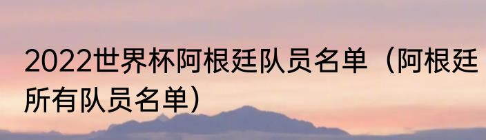 2022世界杯阿根廷队员名单（阿根廷所有队员名单）