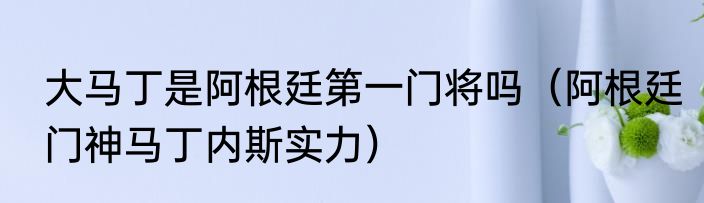 大马丁是阿根廷第一门将吗（阿根廷门神马丁内斯实力）
