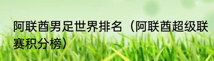 阿联酋男足世界排名（阿联酋超级联赛积分榜）