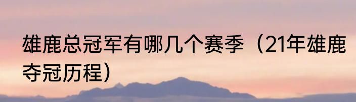 雄鹿总冠军有哪几个赛季（21年雄鹿夺冠历程）