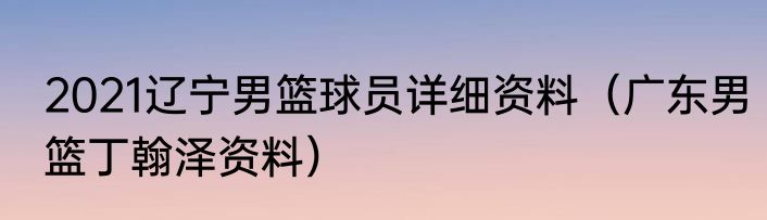 2021辽宁男篮球员详细资料（广东男篮丁翰泽资料）