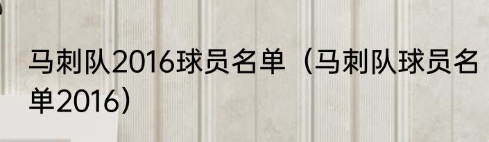 马刺队2016球员名单（马刺队球员名单2016）