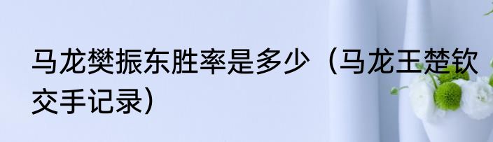 马龙樊振东胜率是多少（马龙王楚钦交手记录）