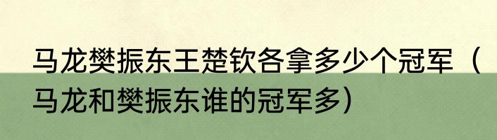马龙樊振东王楚钦各拿多少个冠军（马龙和樊振东谁的冠军多）