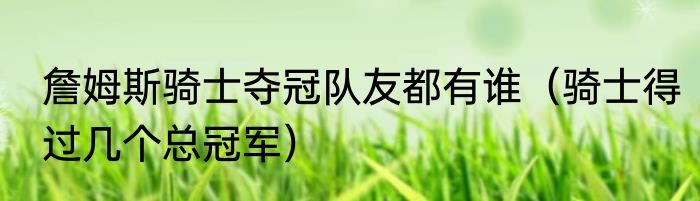 詹姆斯骑士夺冠队友都有谁（骑士得过几个总冠军）