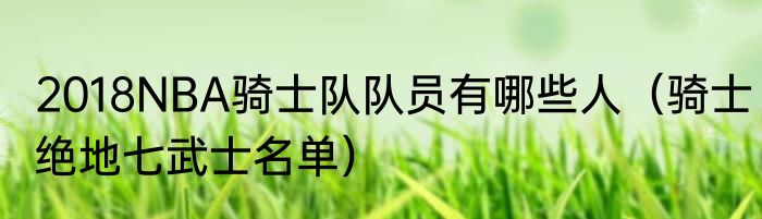2018NBA骑士队队员有哪些人（骑士绝地七武士名单）