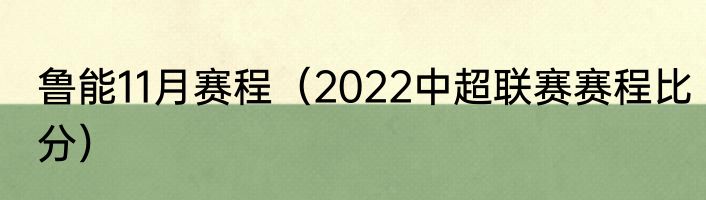 鲁能11月赛程（2022中超联赛赛程比分）