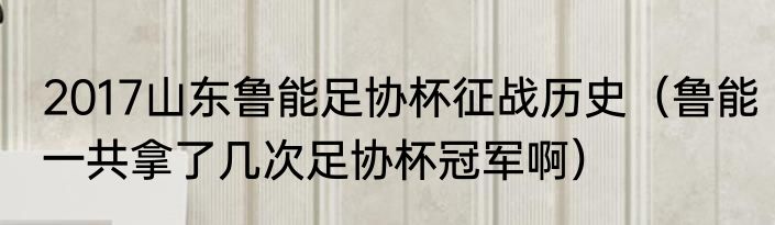 2017山东鲁能足协杯征战历史（鲁能一共拿了几次足协杯冠军啊）