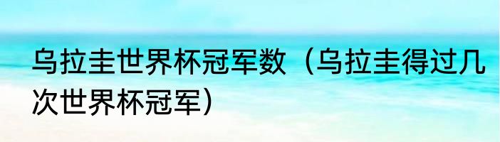 乌拉圭世界杯冠军数（乌拉圭得过几次世界杯冠军）